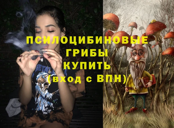 МДПВ Абинск