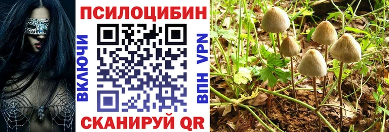 Галлюциногенные грибы Cubensis  Черногорск 