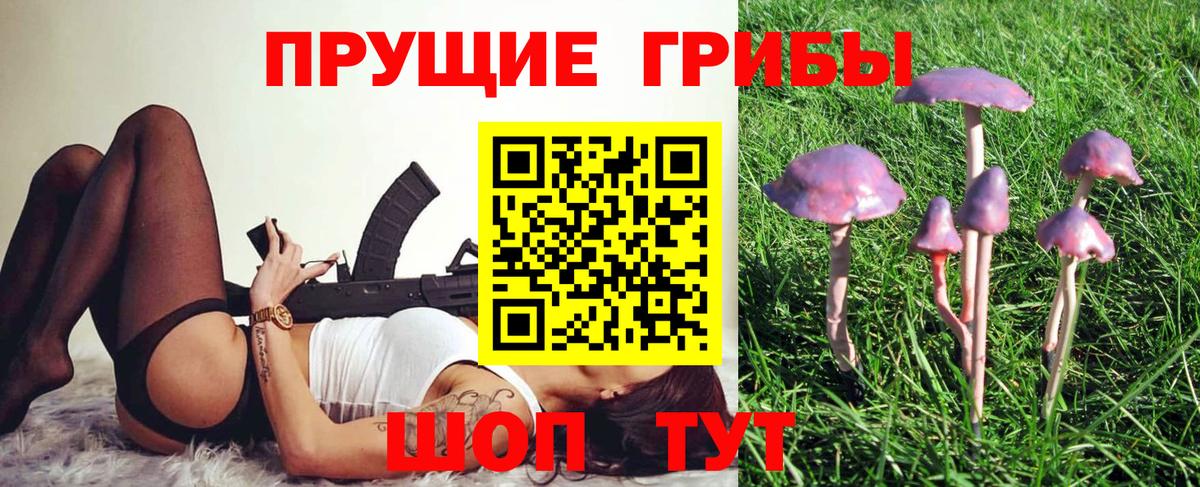 Галлюциногенные грибы мухоморы  Вход с VPN  Черногорск 
