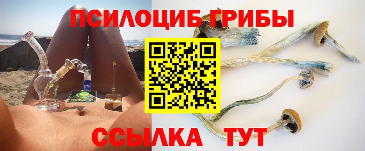 Псилоцибиновые грибы прущие грибы Черногорск